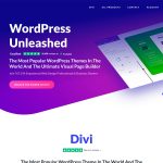 Tema wordpress premium